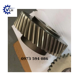 Gear Wheel 1616539600 1616539700 for Atlas Copco Compressor 1616-5396-00 1616-5397-00